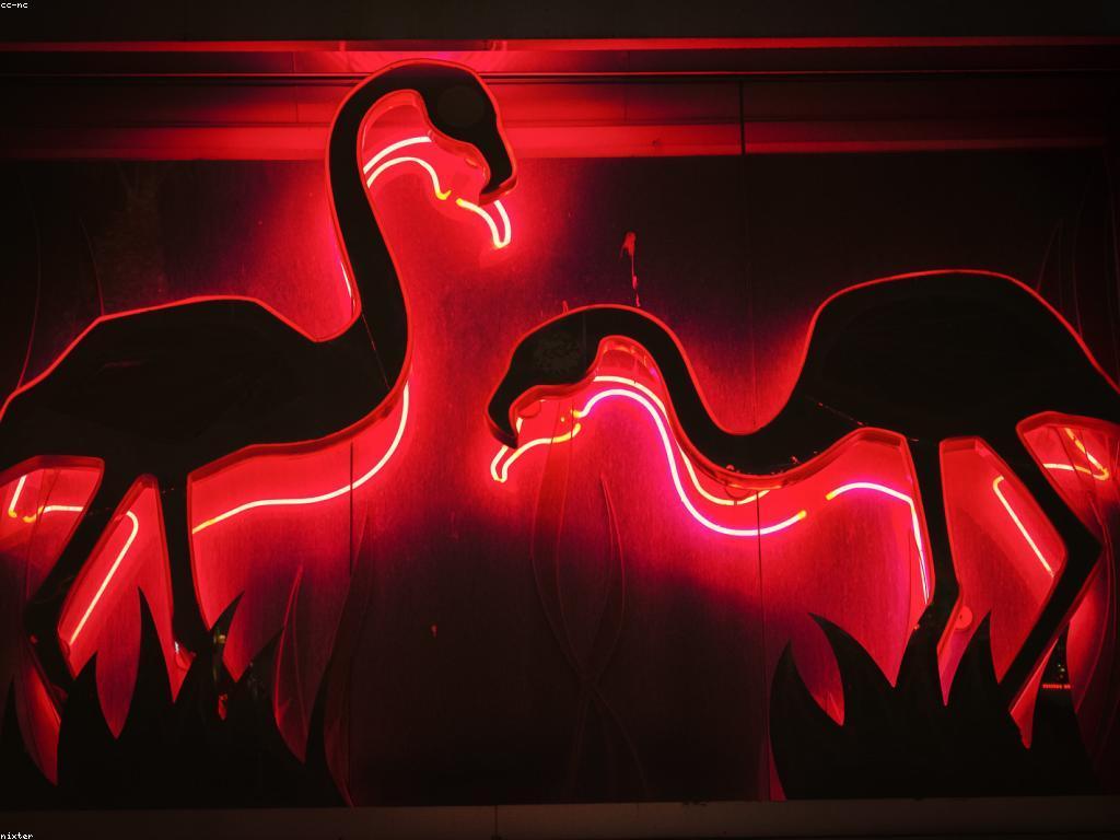 ការអភិវឌ្ឍន៍ថ្មីៗក្នុងពិភពកាស៊ីណូ